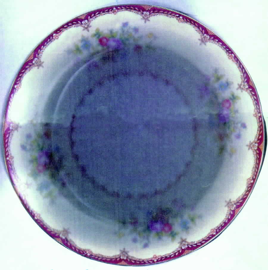 ROE3 Dinner Plate by Royal Embassy-1