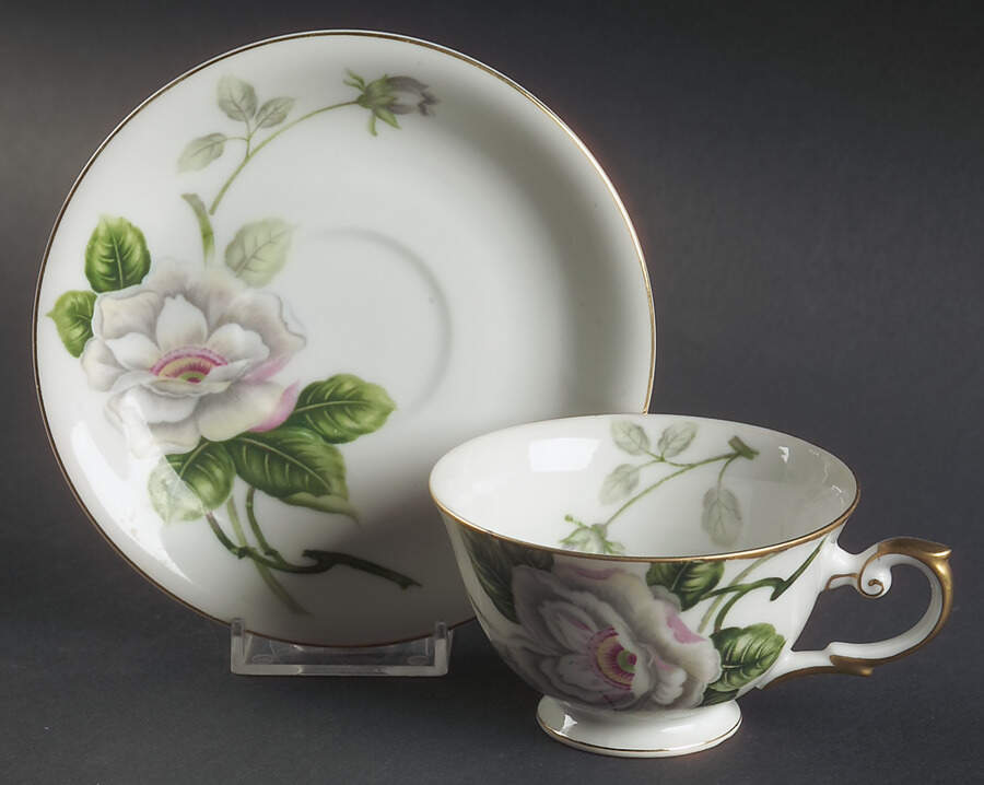 Scarsdale Footed Cup & Saucer Set by Royal Embassy-1