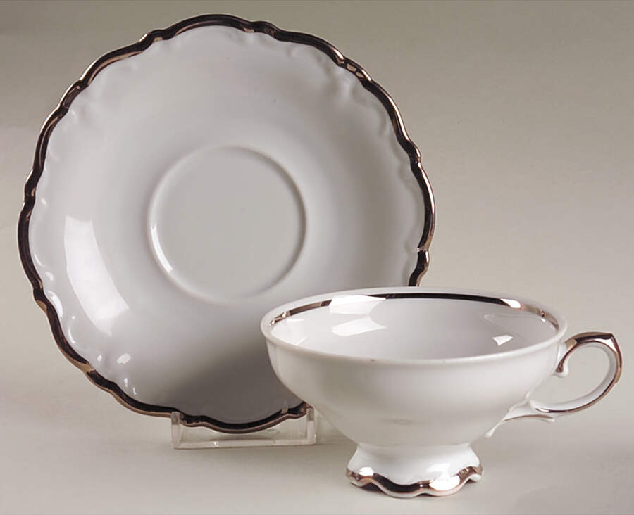 Regency Platinum Footed Cup & Saucer Set by Royal Heidelberg-1