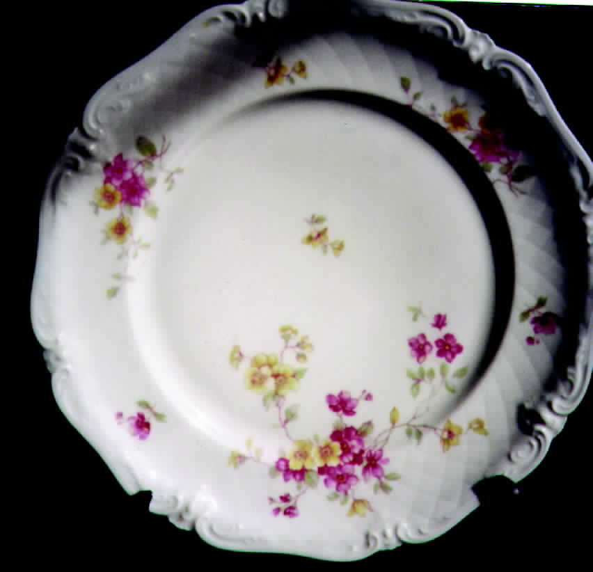ROH5 Dinner Plate by Royal Heidelberg-1