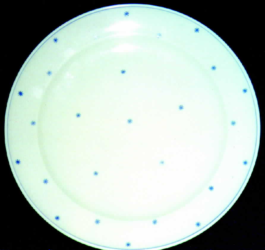 ROI11 Dinner Plate by Royal Ivory (Czech, Germany)-1