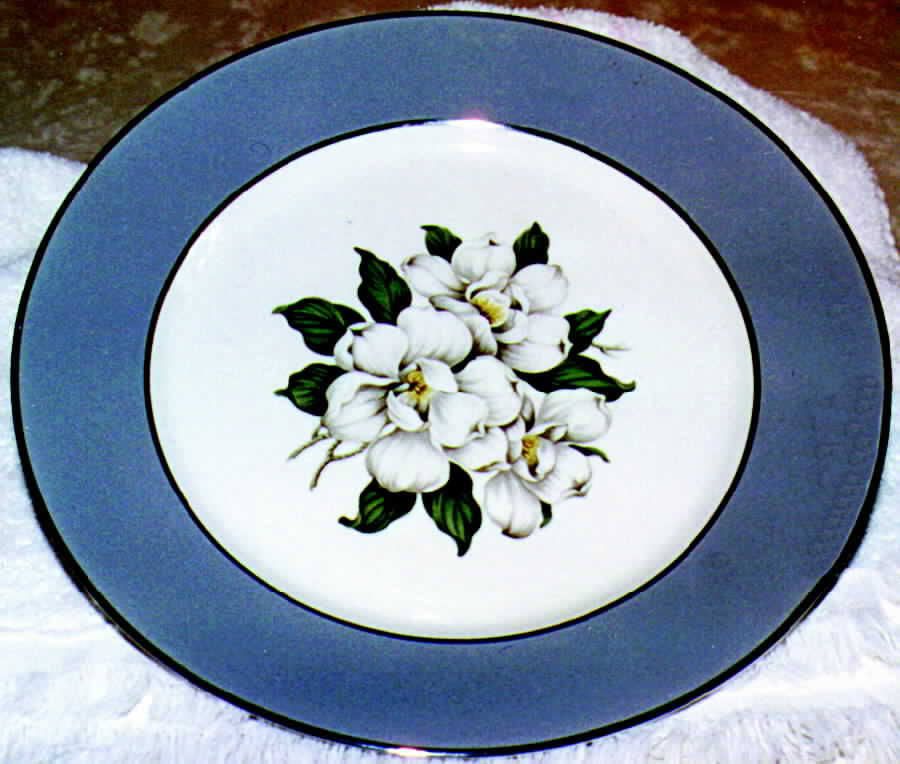 Countess Madison Gray (Platinum Trim) Dinner Plate by Royal Jackson-1