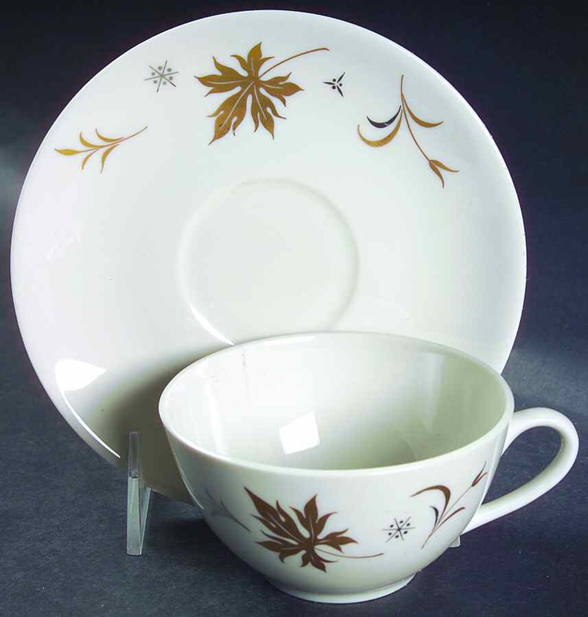 Enchantment Flat Cup & Saucer Set by Royal Jackson-1