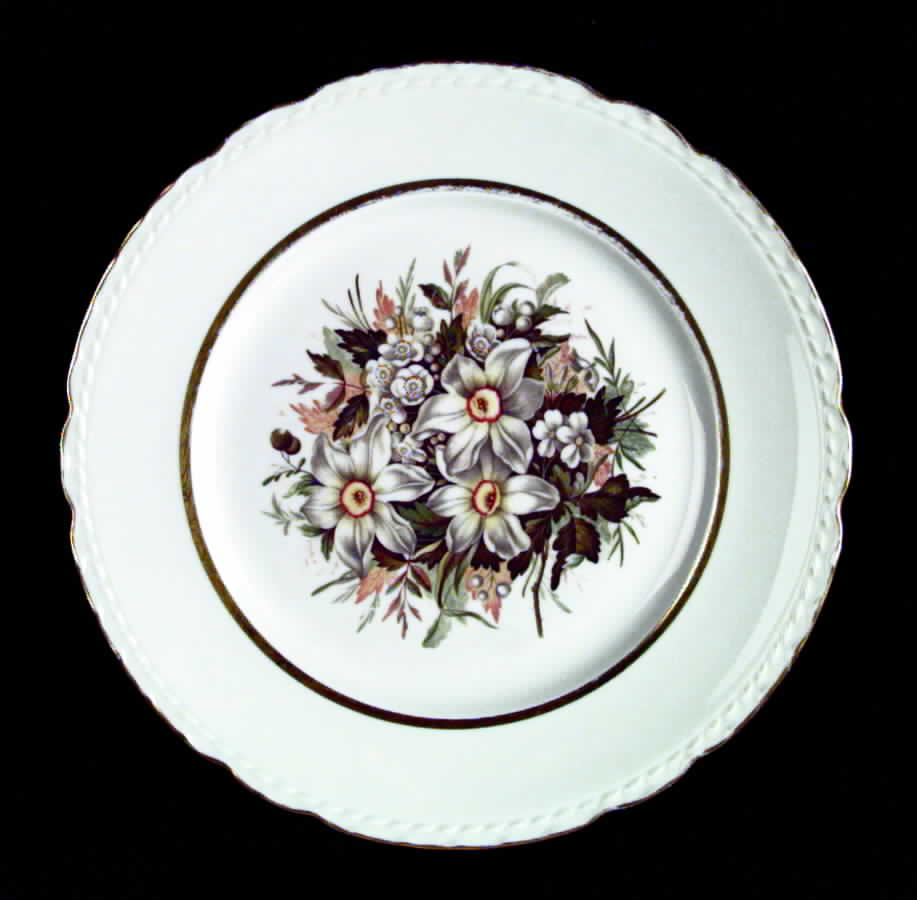 Lord Baltimore Dinner Plate by Royal Jackson-1