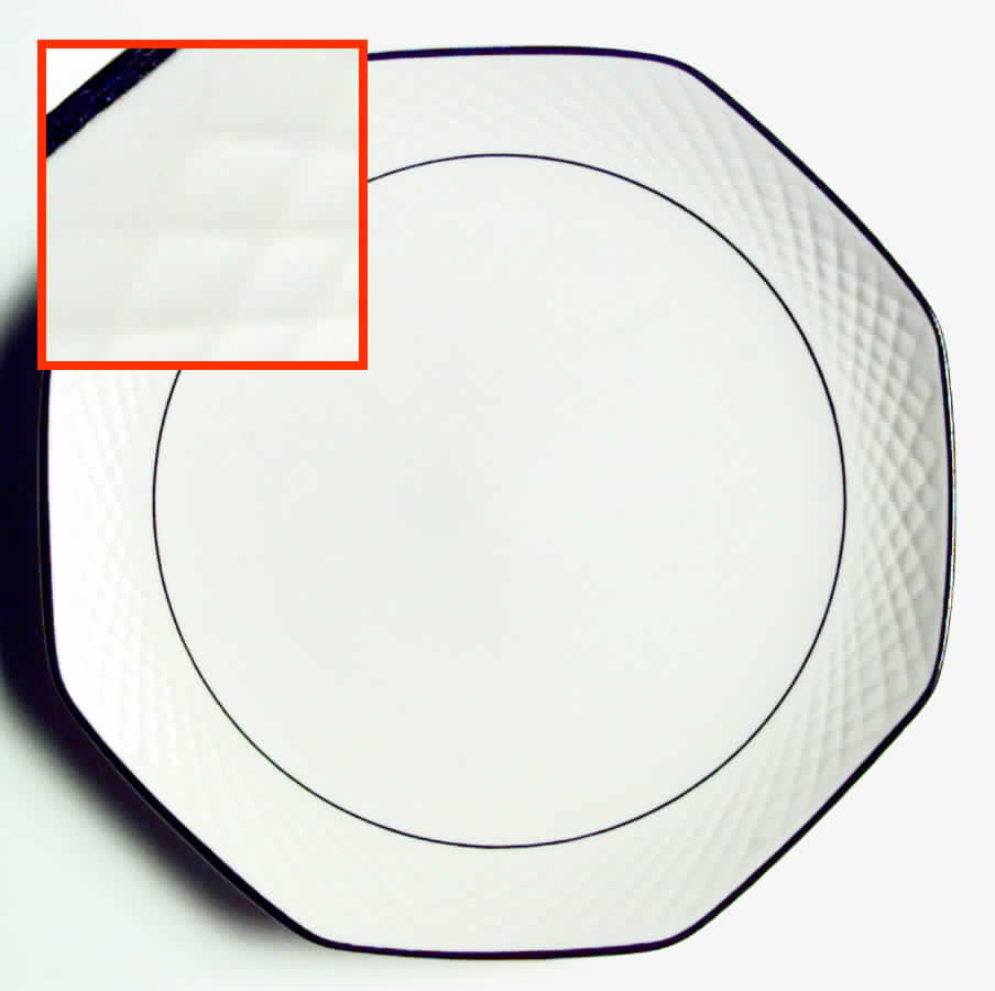 ROJ100 Dinner Plate by Royal Jackson-1