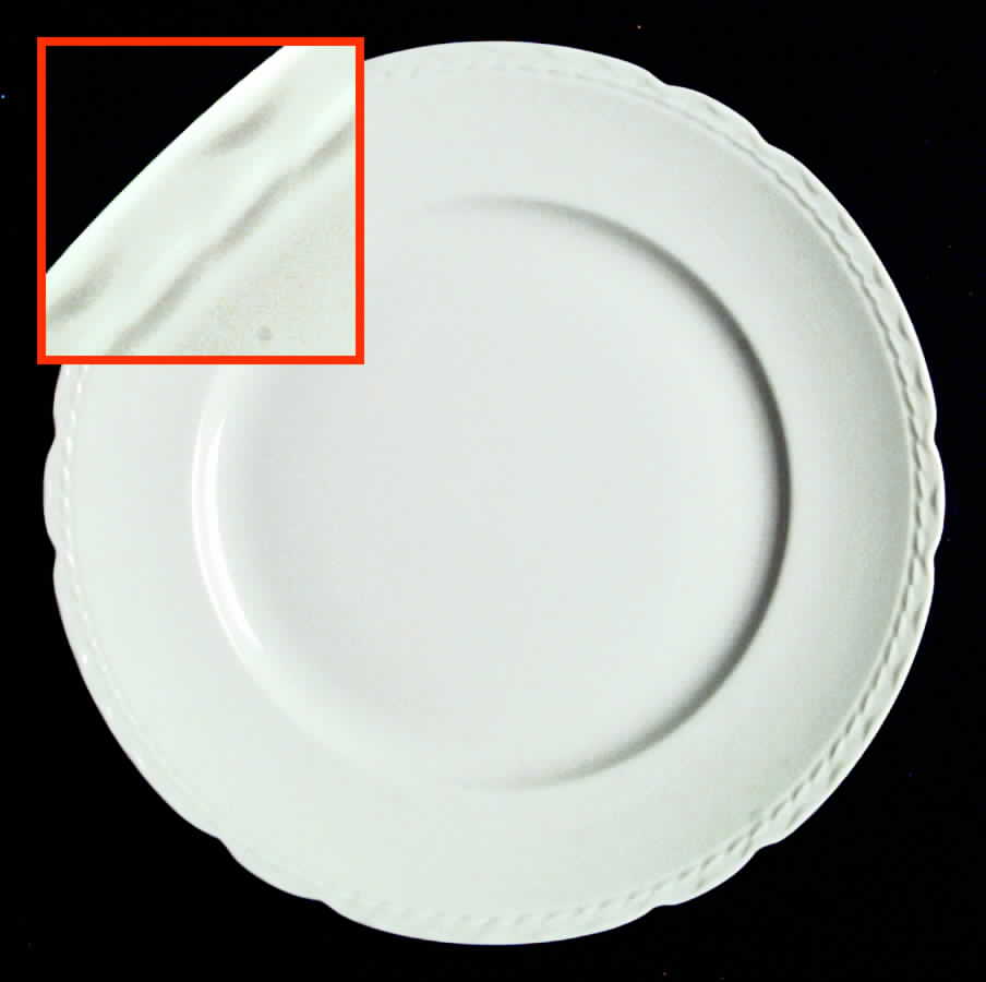 ROJ102 Dinner Plate by Royal Jackson-1