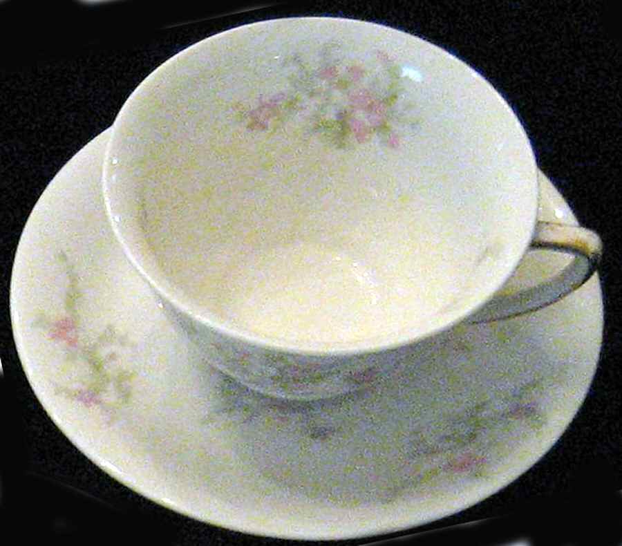 ROJ110 Footed Cup & Saucer Set by Royal Jackson-1