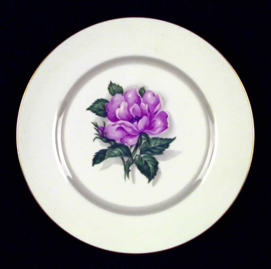 ROJ17 Salad Plate by Royal Jackson-1