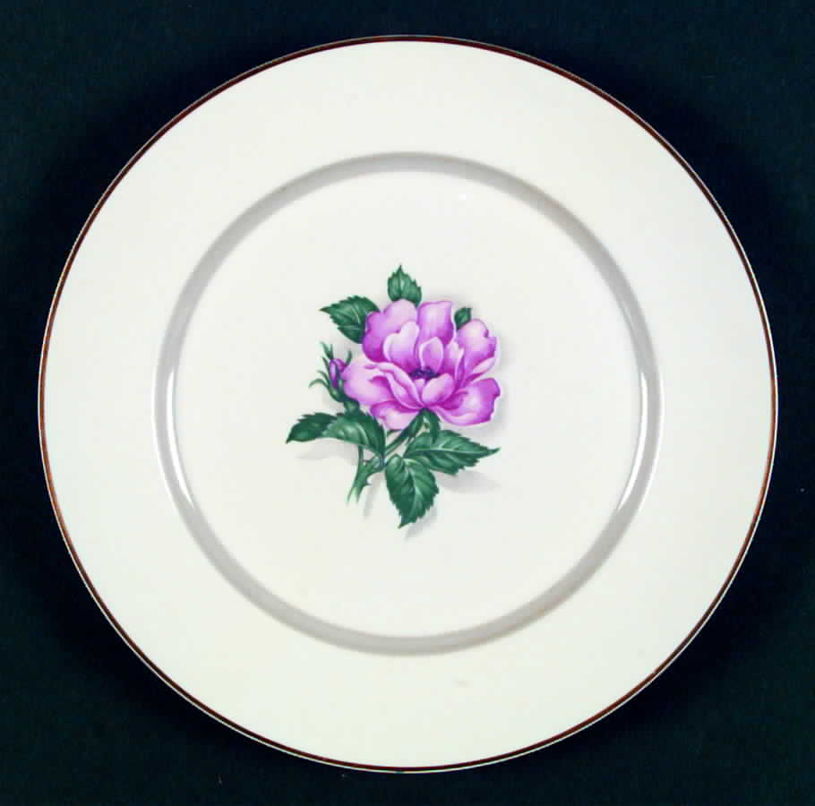 ROJ17 Dinner Plate by Royal Jackson-1