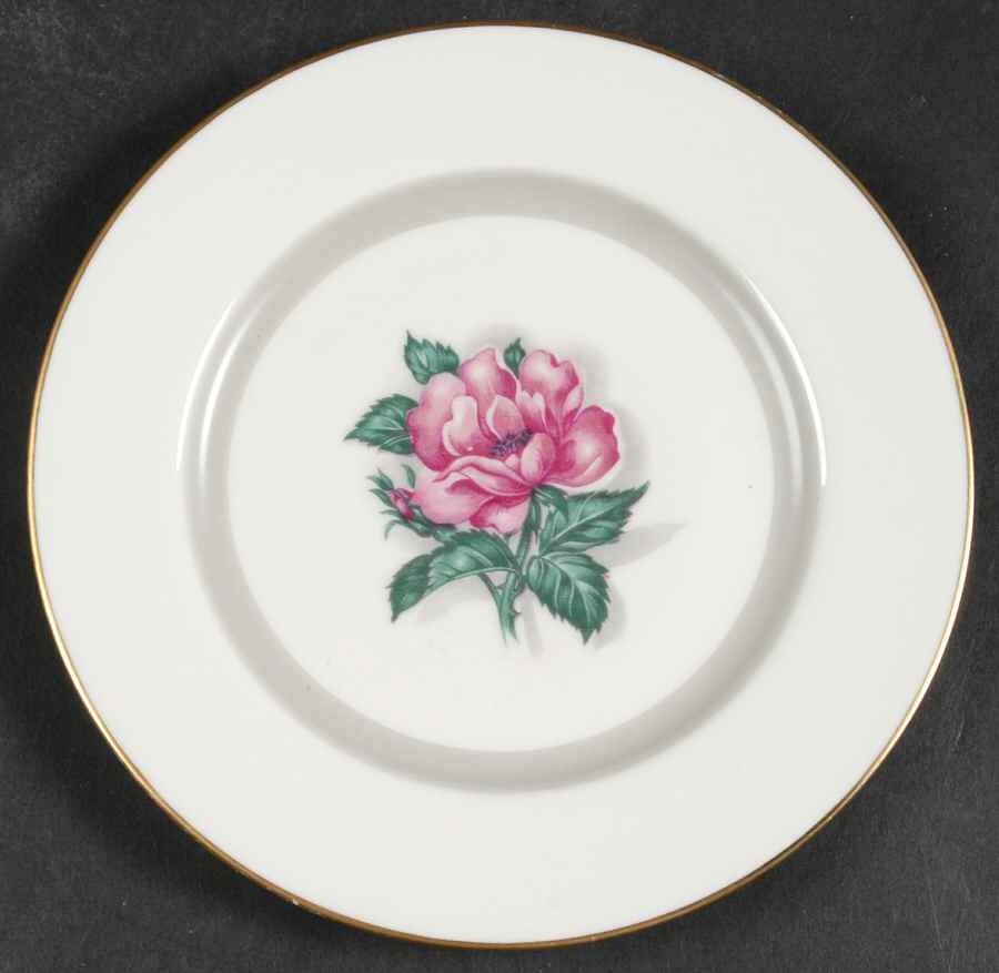 ROJ17 Bread & Butter Plate by Royal Jackson-1