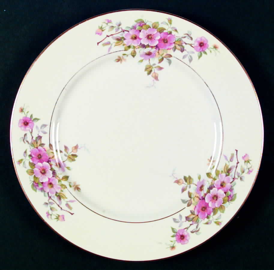 ROJ34 Dinner Plate by Royal Jackson-1