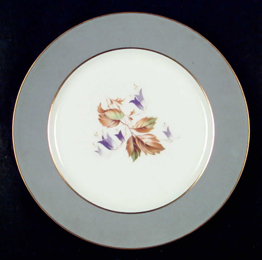 Countess Cynthia Gray Dinner Plate by Royal Jackson-1