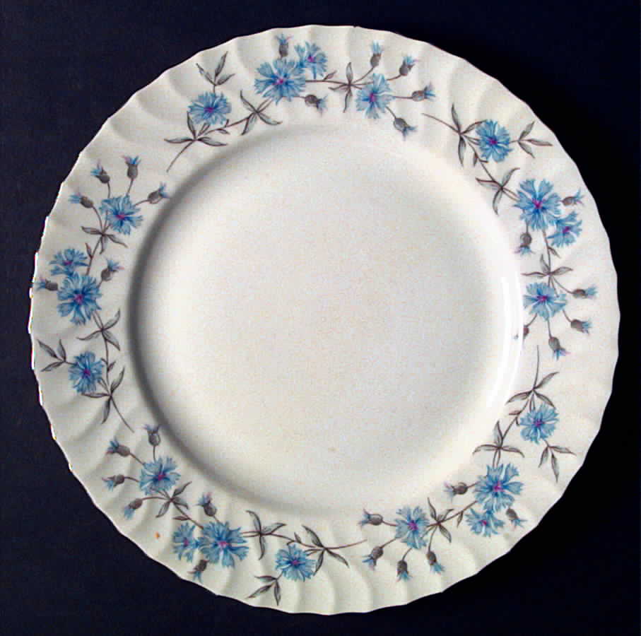 Radiance Dinner Plate by Royal M-Mita-1