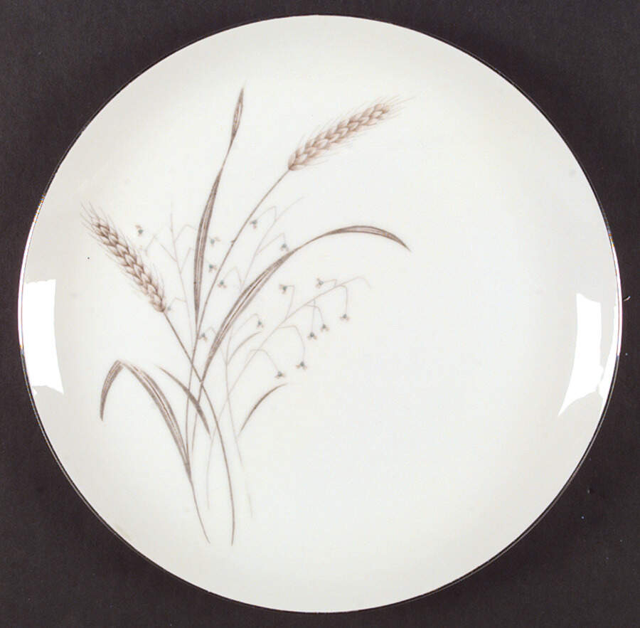 Springfield Dinner Plate by Royal M-Mita-1