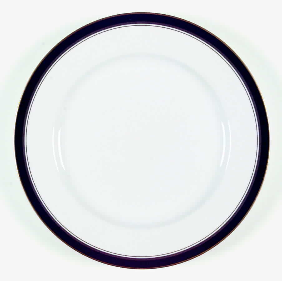 Nocturne Dinner Plate by Royal Prestige-1