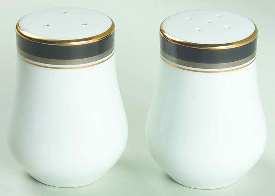 Nocturne Salt & Pepper Set by Royal Prestige-1