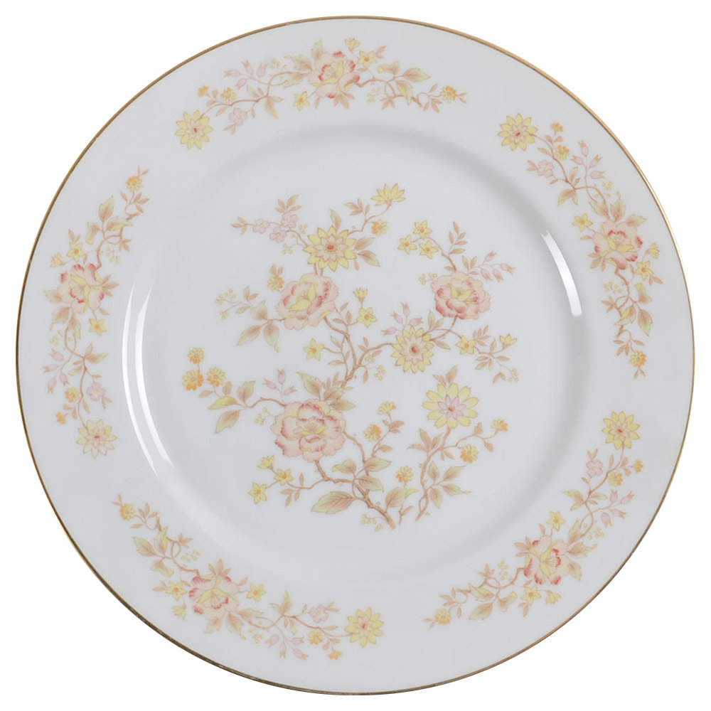 Teahouse Dinner Plate by Royal Prestige-1