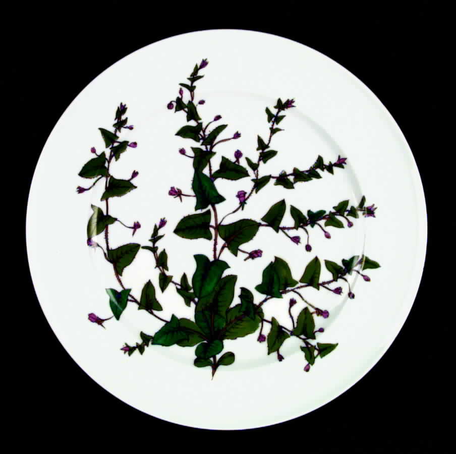 Hathaway Dinner Plate by Royal Tettau-1
