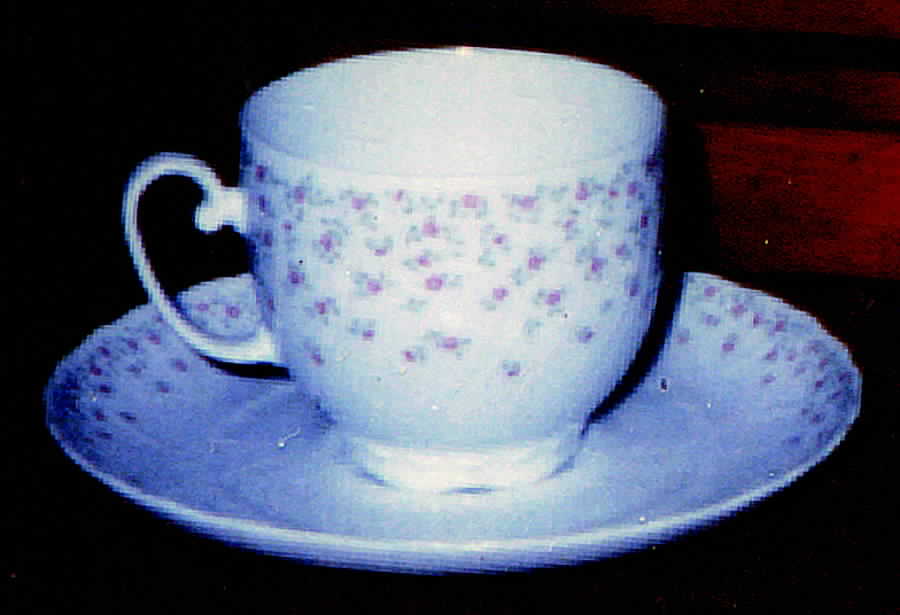 Ophelia Flat Cup & Saucer Set by Royal Tettau-1