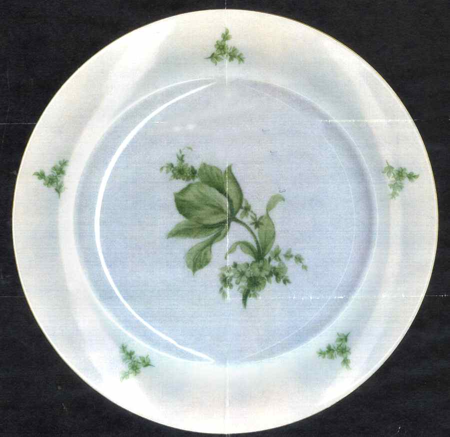 ROT100 Dinner Plate by Royal Tettau-1