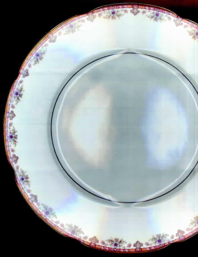 ROT55 Dinner Plate by Royal Tettau-1