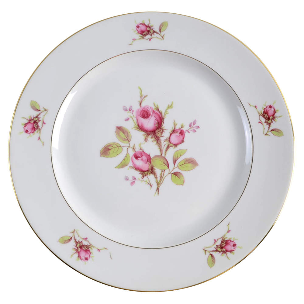 ROT70 Dinner Plate by Royal Tettau-1