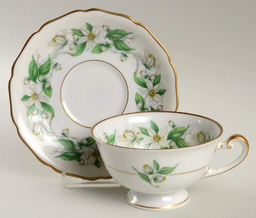 Orange Blossom Footed Cup & Saucer Set by Royal York (Germany)-1