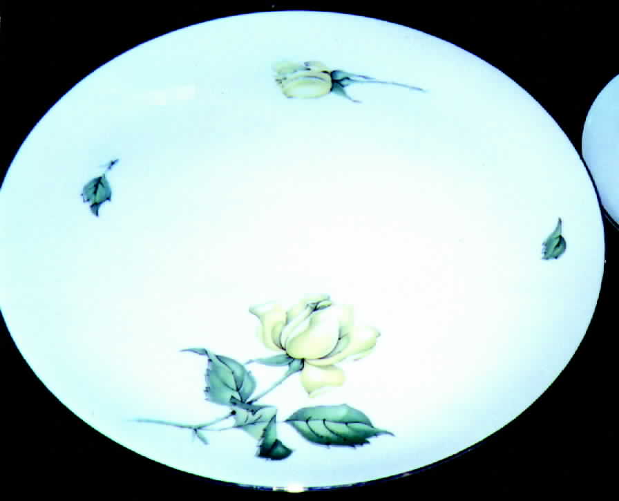 RPA1 Dinner Plate by Royal Palatine-1