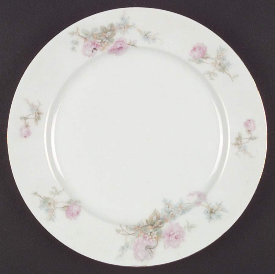 RSC10 Dinner Plate by Royal Schwarzburg-1