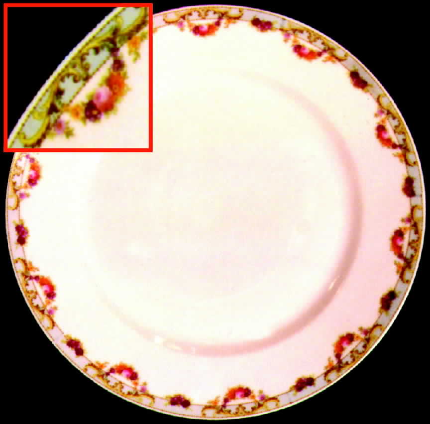 RSC11 Dinner Plate by Royal Schwarzburg-1
