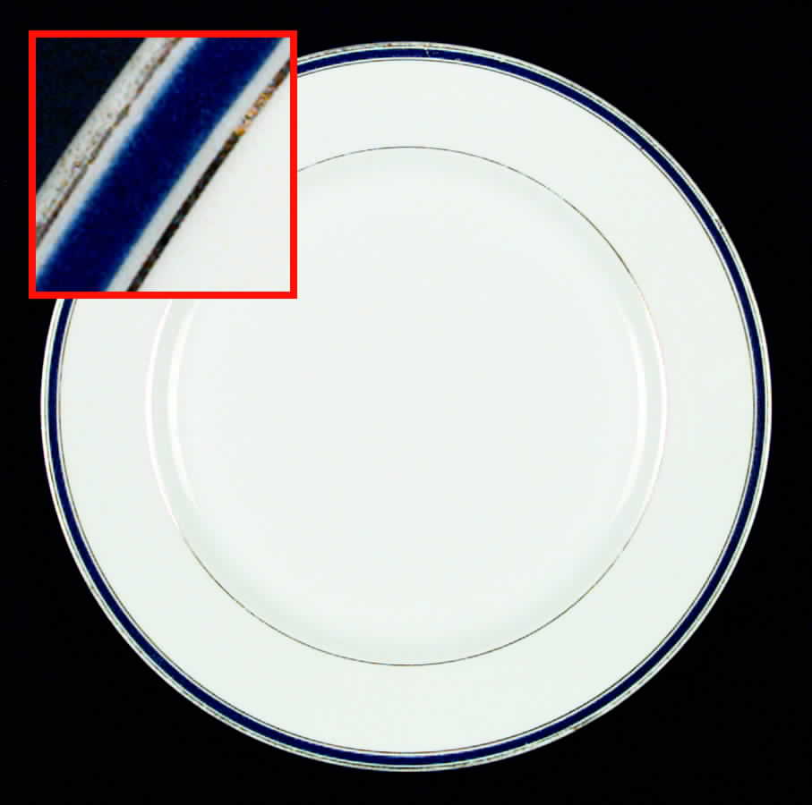 RSC13 Dinner Plate by Royal Schwarzburg-1