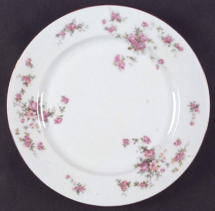 RSC8 Dinner Plate by Royal Schwarzburg-1