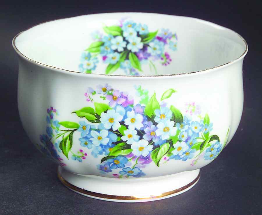 Forget Me Not Open Sugar Bowl by Royal Standard-1