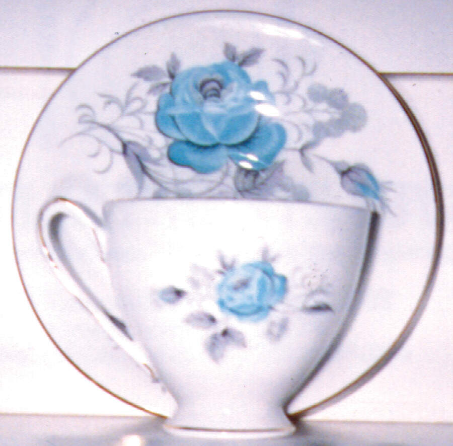 RSD6 Footed Cup & Saucer Set by Royal Standard-1