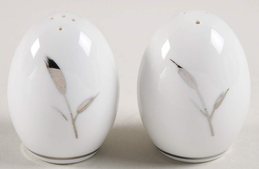 Silver Beauty Salt & Pepper Set by Royal Song-1
