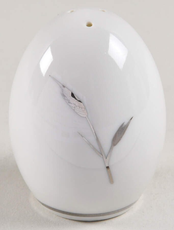 Silver Beauty Pepper Shaker by Royal Song-1
