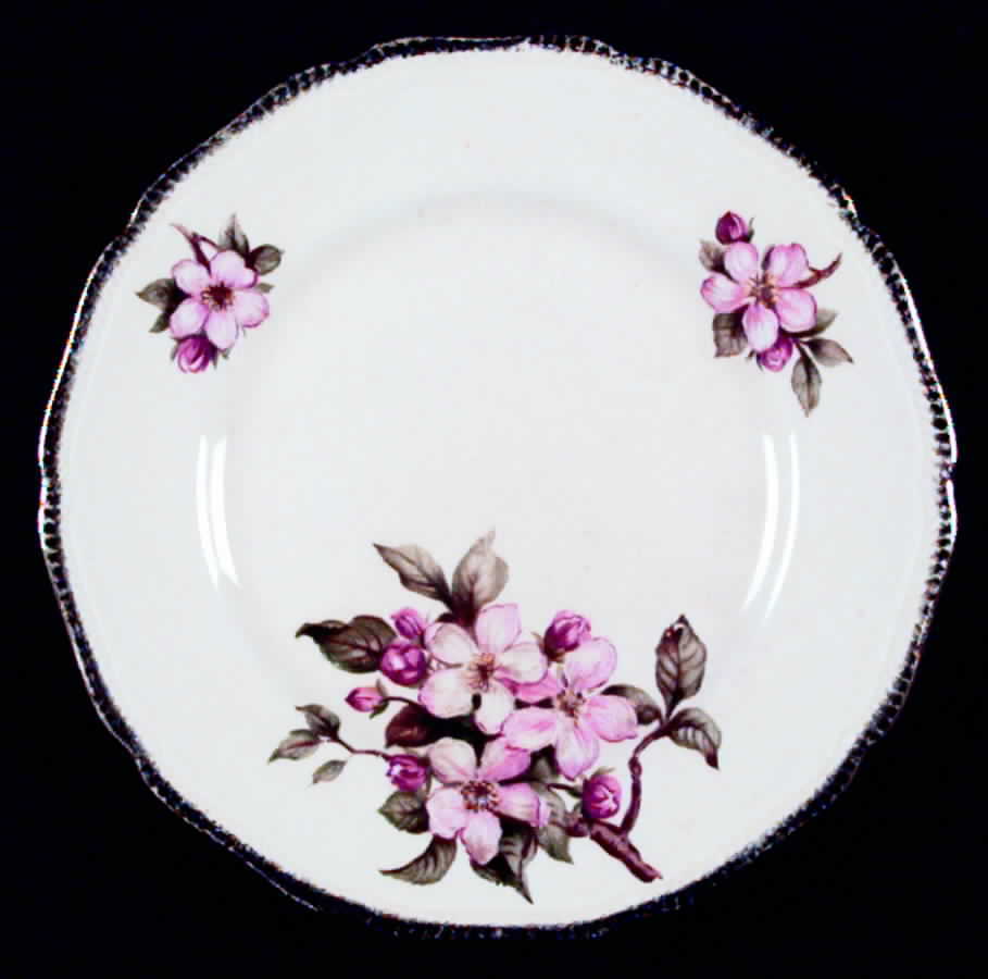 Blossomtime Bread & Butter Plate by Royal Swan-1