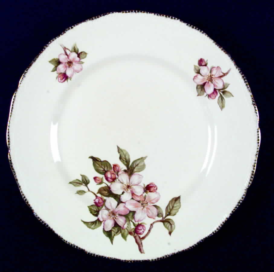 Blossomtime Dinner Plate by Royal Swan-1