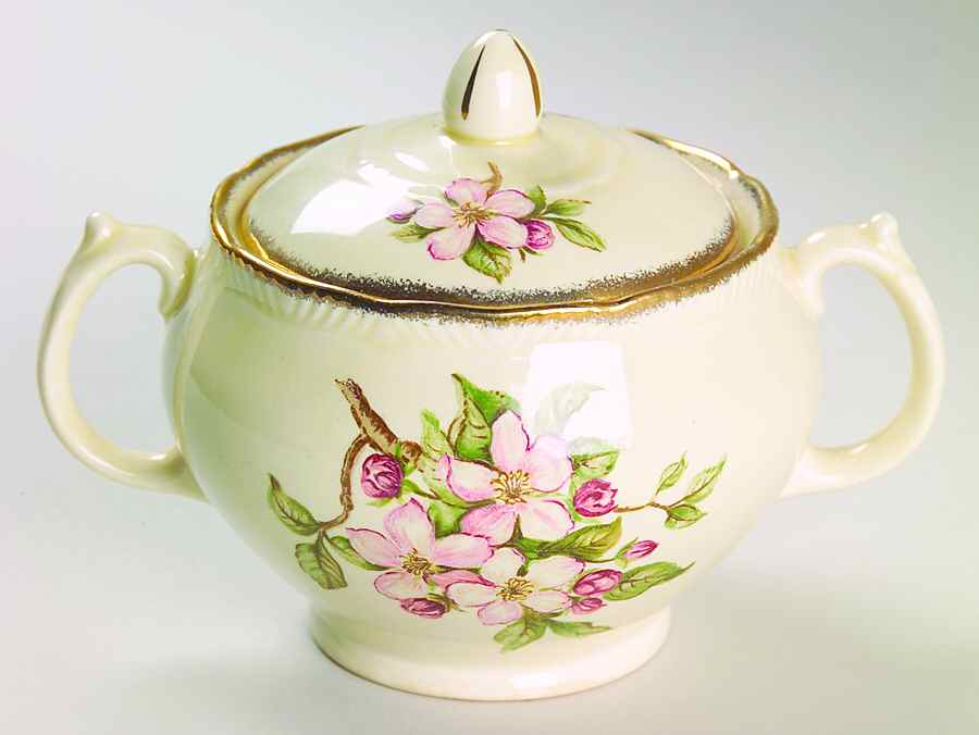 Blossomtime Sugar Bowl & Lid by Royal Swan-1