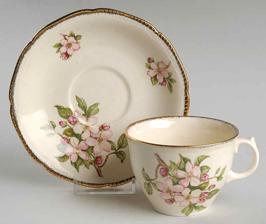 Blossomtime Flat Cup & Saucer Set by Royal Swan-1