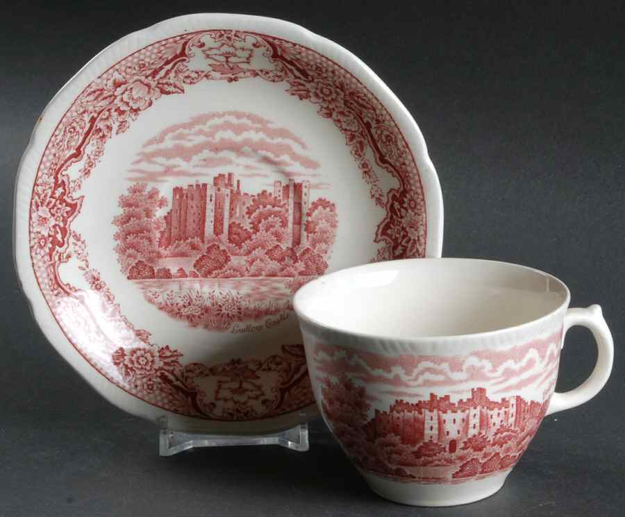 Historic Castles Pink Flat Cup & Saucer Set by Royal Swan-1