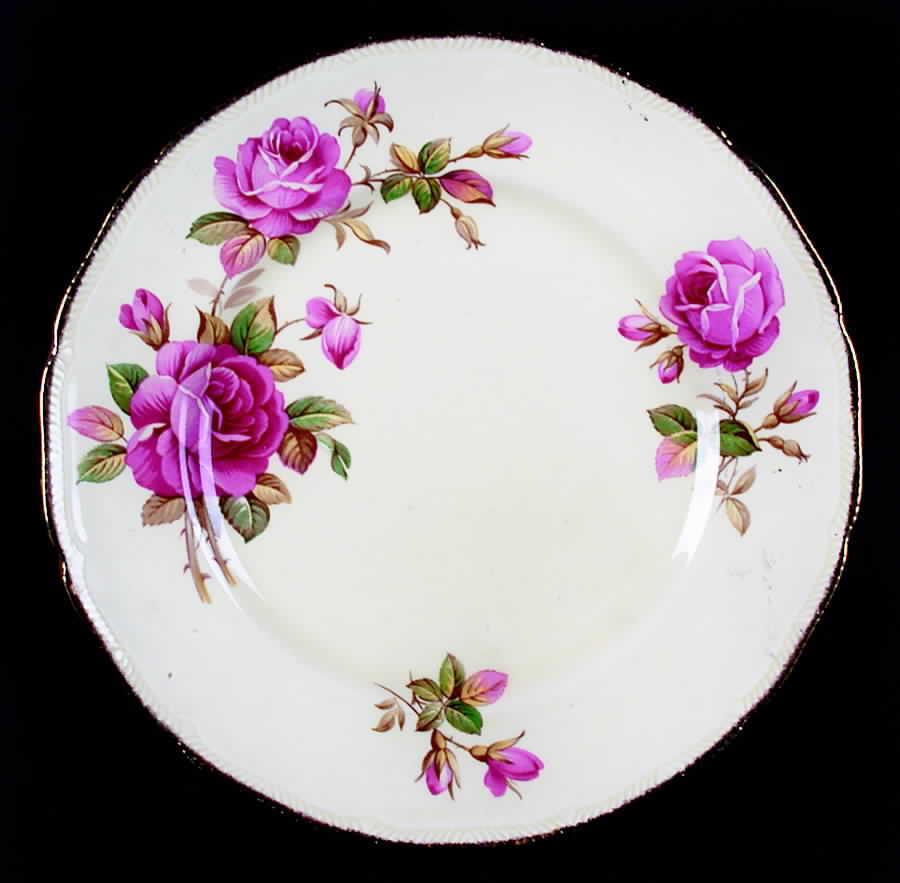 RSN1 Dinner Plate by Royal Swan-1
