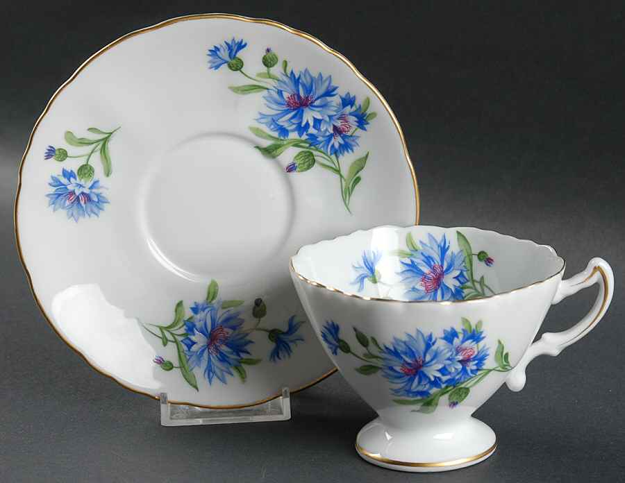 Meadow Belle Footed Cup & Saucer Set by Rossetti-1