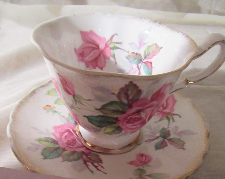 Berkeley Rose Footed Cup & Saucer Set by Royal Stafford-1