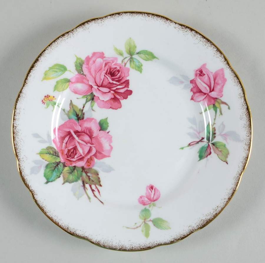 Berkeley Rose Bread & Butter Plate by Royal Stafford-1