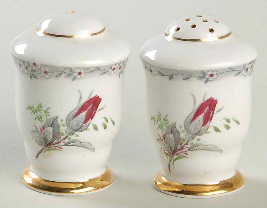 Roses To Remember (Scalloped) Salt & Pepper Set by Royal Stafford-1
