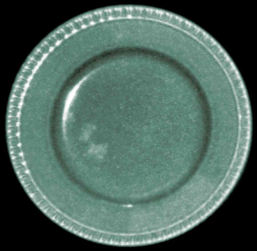Portsmouth Sage Green Dinner Plate by Royal Stafford-1