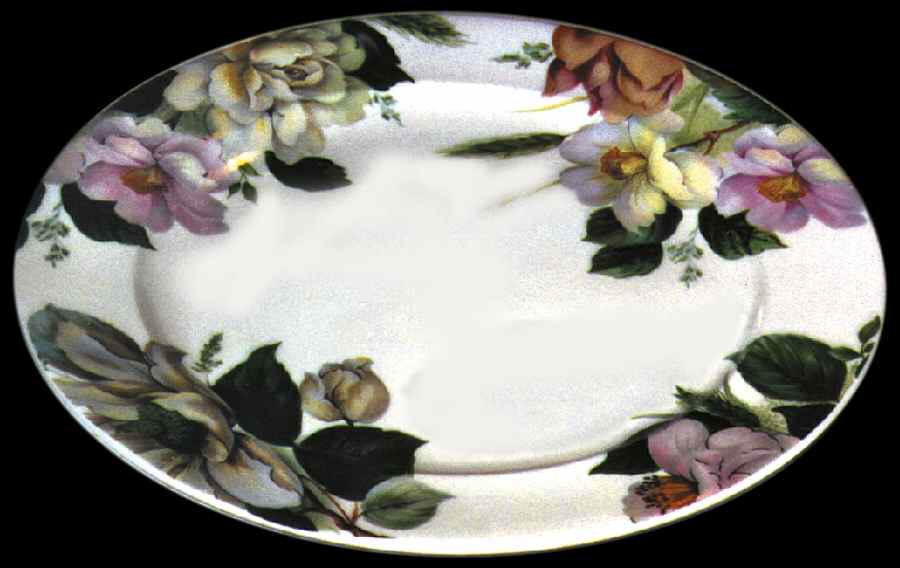 RST23 Dinner Plate by Royal Stafford-1