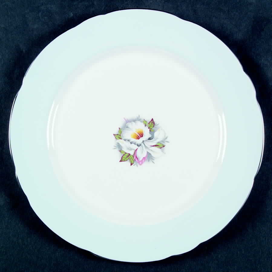 The White Lady Dinner Plate by Royal Stafford-1