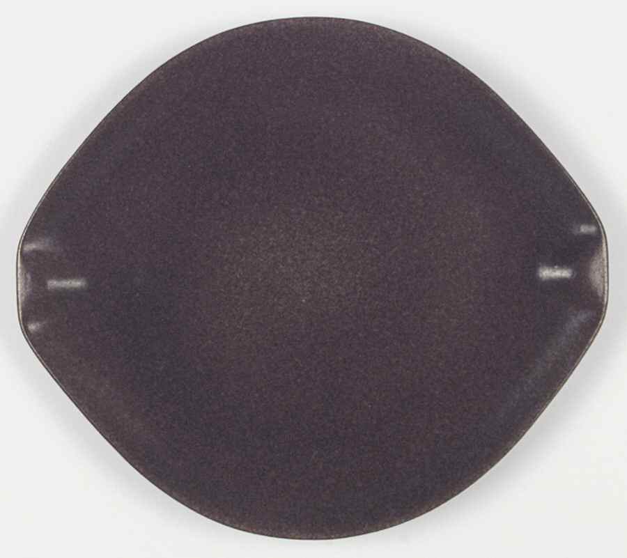 Raymor Autumn Brown (Matte) Dinner Plate by Roseville-1